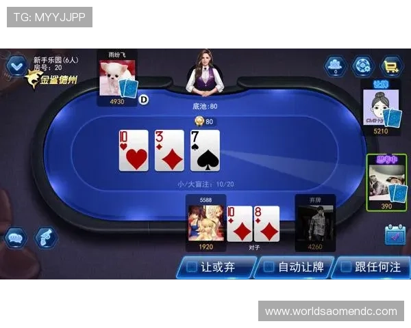 德州扑克线上官网多样游戏模式,满足不同玩家的娱乐需求 德州扑克线上官网多样游戏模式,满足不同玩家的娱乐需求