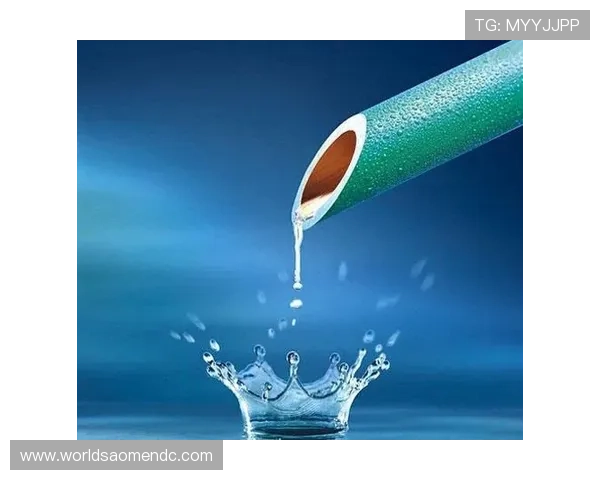 澳门博彩行业的技术创新应用及其带来的行业变革 澳门博彩行业的技术创新应用及其带来的行业变革