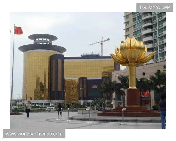 澳门十大娱乐场所夜生活指南，享受不夜城的精彩娱乐体验